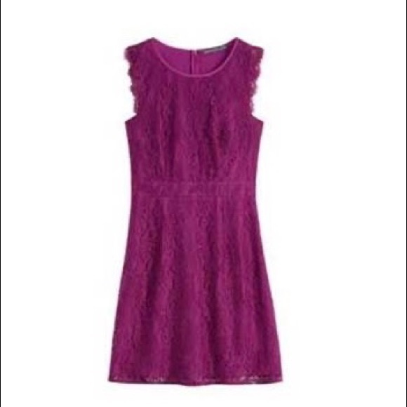 Brixon Ivy Medina Stretch Lace Dress - Picture 5 of 5